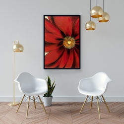 Encadré 24 x 36 - Marguerite rouge