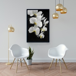 Framed 24 x 36 - Beautiful orchids