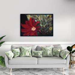 Encadré 24 x 36 - Fleur rouge de cactus echinopsis