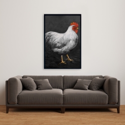 Framed 24 x 36 - Grey rooster 2