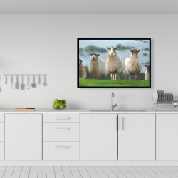 Encadré 24 x 36 - Troupeau de moutons