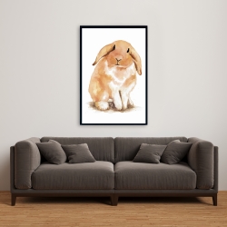 Encadré 24 x 36 - Lapin bélier