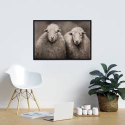 Framed 24 x 36 - Sheep sepia