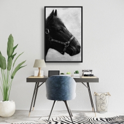 Framed 24 x 36 - Gallopin the horse