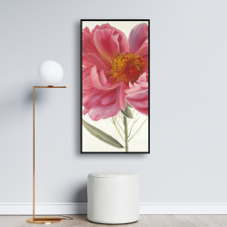 Encadré 24 x 48 - Fleur de pivoine rose