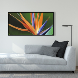 Encadré 24 x 48 - Fleur oiseau de paradis