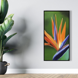 Encadré 24 x 48 - Fleur oiseau de paradis