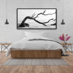 Framed 24 x 48 - Dead tree in the middle of water