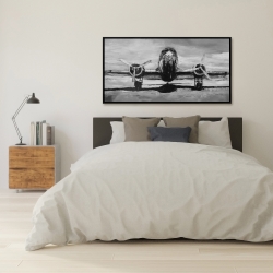 Framed 24 x 48 - Grayscale plane