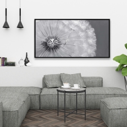 Framed 24 x 48 - Dandelion puff ball