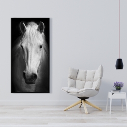 Framed 24 x 48 - Monochrome horse