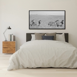 Framed 24 x 48 - Zebras in the savannah