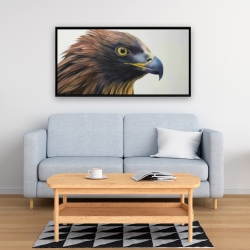 Encadré 24 x 48 - Aigle à tête brune