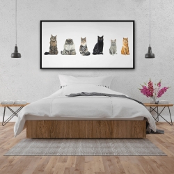 Framed 24 x 48 - Six cats lined up