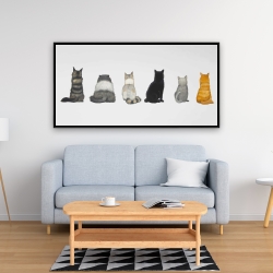 Framed 24 x 48 - Six cats lined up back view