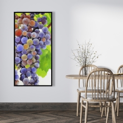 Encadré 24 x 48 - Bouquet de raisins