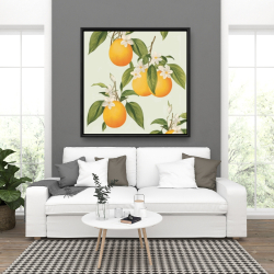 Framed 36 x 36 - Suspended oranges
