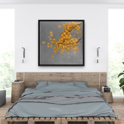 Framed 36 x 36 - Golden wattle plant with pugg ball flowers