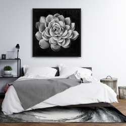 Framed 36 x 36 - Black and white succulent