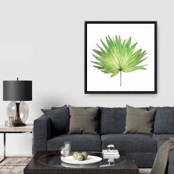 Framed 36 x 36 - Petticoat palm