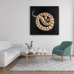 Encadré 36 x 36 - Serpent crotale des bois du sud