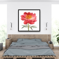 Framed 36 x 36 - Pink peony