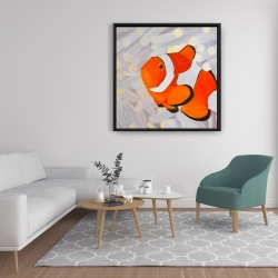 Framed 36 x 36 - Clownfish