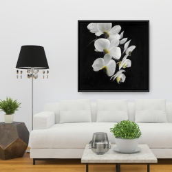 Framed 36 x 36 - Beautiful orchids