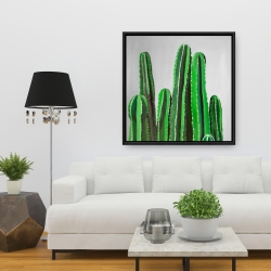 Encadré 36 x 36 - Cactus cierges