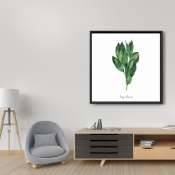 Framed 36 x 36 - Bay leaves bundle -en