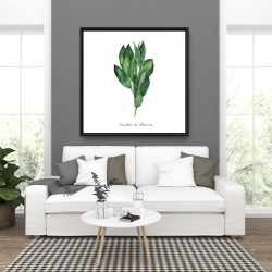 Framed 36 x 36 -  bay leaves bundle - fr