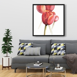 Framed 36 x 36 - Blossoming tulips closeup