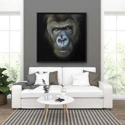 Framed 36 x 36 - Gorilla face