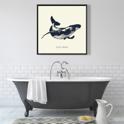 Framed 36 x 36 - Blue whale sketch