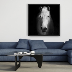Framed 36 x 36 - Monochrome horse