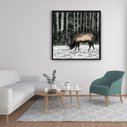 Framed 36 x 36 - Caribou in the forest