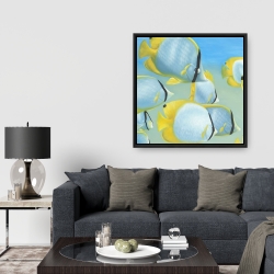 Framed 36 x 36 - Butterfly fishes