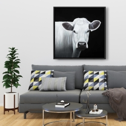 Framed 36 x 36 - White cow