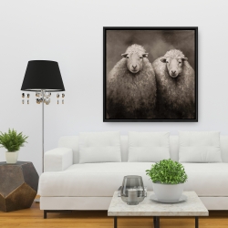 Framed 36 x 36 - Sheep sepia