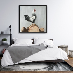 Framed 36 x 36 - Wyandotte rooster