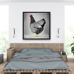 Framed 36 x 36 - Black and white wyandotte hen