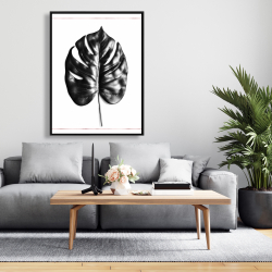 Encadré 36 x 48 - Philodendron à feuilles divisées avec lignes rose