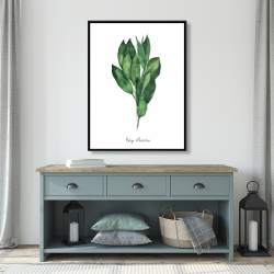 Framed 36 x 48 - Bay leaves bundle -en