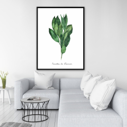 Framed 36 x 48 -  bay leaves bundle - fr