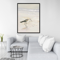 Framed 36 x 48 - Semipalmated sandpiper on the beach