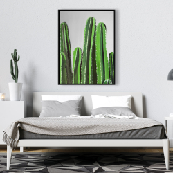 Encadré 36 x 48 - Cactus cierges