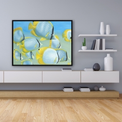 Framed 36 x 48 - Butterfly fishes