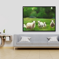 Encadré 36 x 48 - Champ de moutons