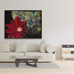 Encadré 36 x 48 - Fleur rouge de cactus echinopsis