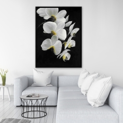 Framed 36 x 48 - Beautiful orchids